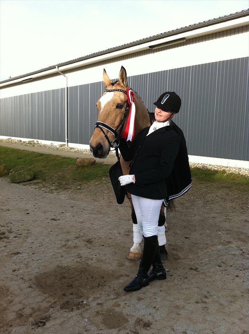 Anden særlig race Mammos billede 8