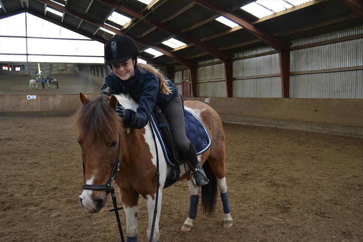 Pinto Coulermix <3 - Du er såå kær, du er den bedste spring pony! <3
Foto: Anna Nygaard billede 4