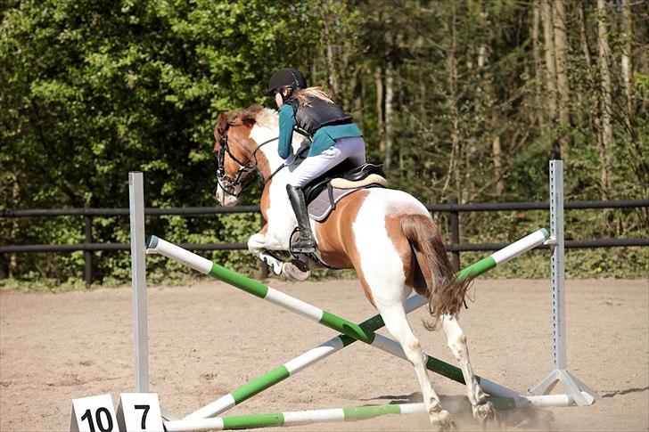 Irsk Sportspony Technical Mojo (Josh)  - omspring klubmesterskab i lb billede 6