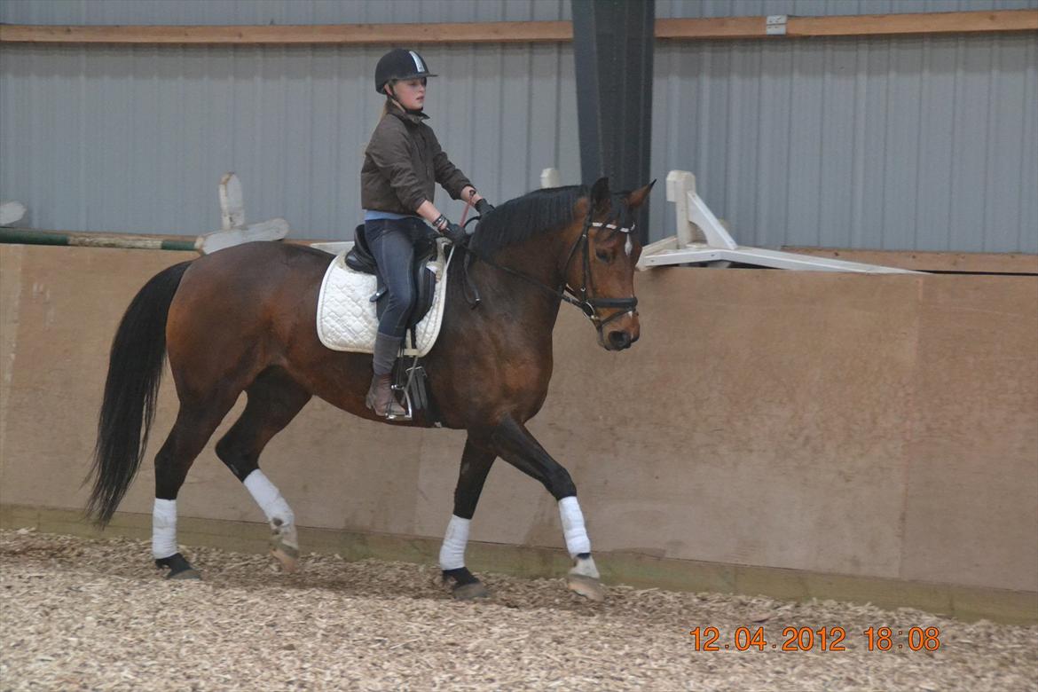 Anden særlig race Mon Cherie - Ridetime<3 billede 4