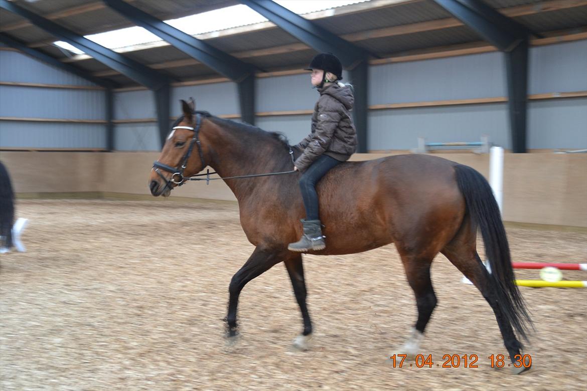 Anden særlig race Mon Cherie - Min kusine der skritter hende af(: billede 6