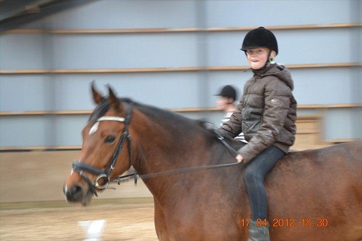 Anden særlig race Mon Cherie - Min kusine der skritter hende af(: billede 7