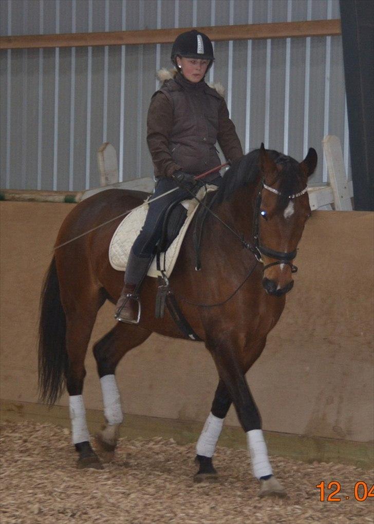 Anden særlig race Mon Cherie billede 8