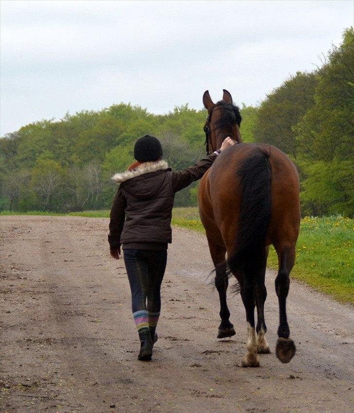 Anden særlig race Mon Cherie - Tak fordi i kiggede ind!(-: billede 12