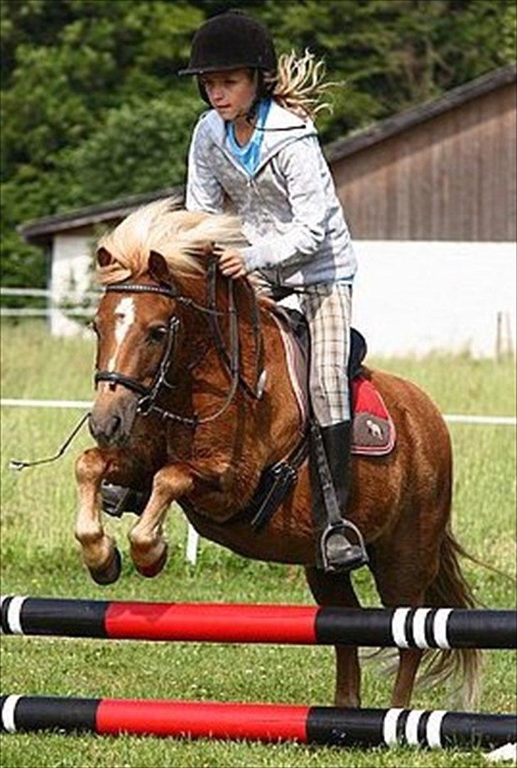 Anden særlig race Ludwig Star - 2)  Det blik der bringer et ægte smil frem giver ikke kun en speciel følelse, men også en grund til at føle sig speciel og det gør livet værd at leve♥ billede 2