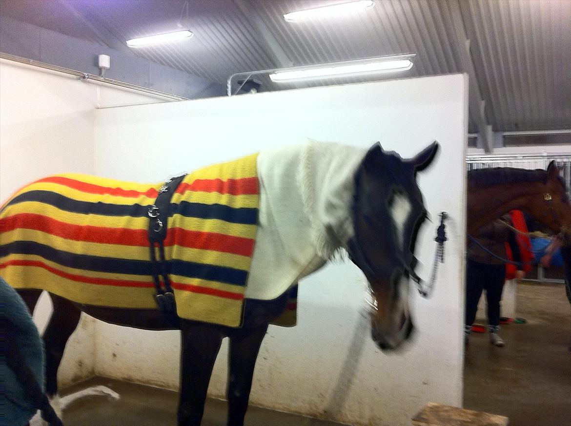 Oldenborg soffie billede 9