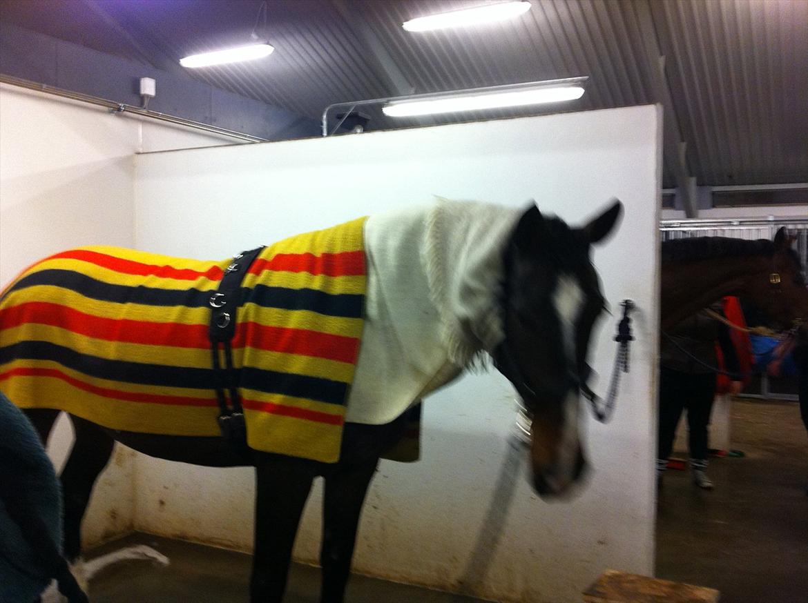 Oldenborg soffie billede 10