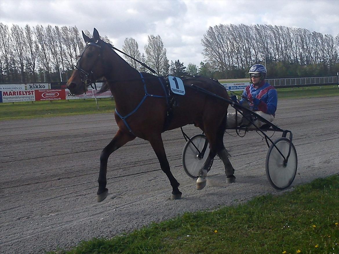 Traver Dillon - 1 rutineløb, efter lidt over en måned hos os ;) billede 15