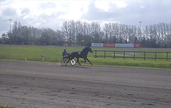 Traver Dillon - 1 rutineløb efter lidt over en måned hos os ;) billede 16