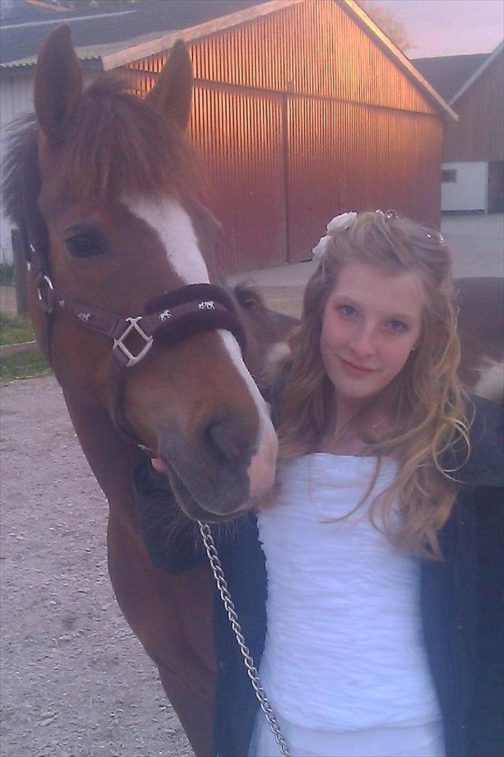 New Forest Orchid's Champer<3 solgt :'-( - uforglemmelig dag, elsker dig pony!<3 billede 8