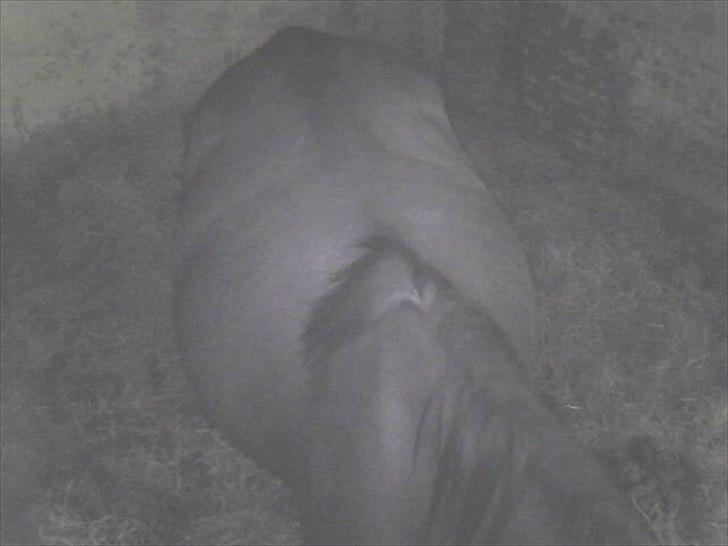 Traver Next Success billede 19