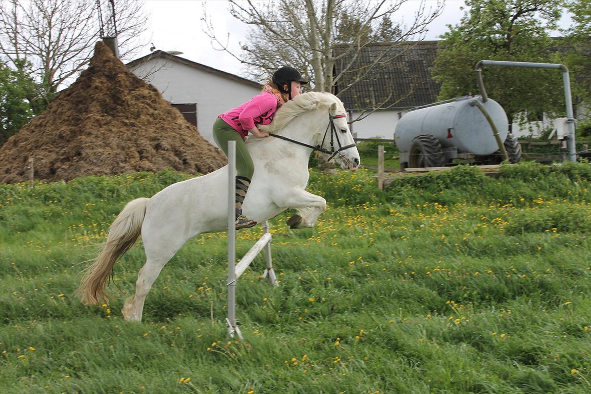 Anden særlig race PIPPI.. Sov sødt prinsesse - Du tager mig tættere på himlen..<3 billede 11