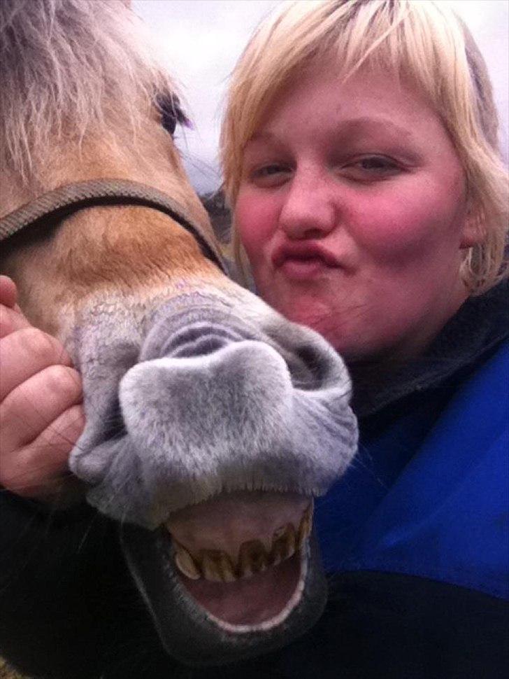 Fjordhest Sille'piien :D <33 solgt  - Sille og jeg mysser ud i luften <3 elsker dig sille <33 billede 1
