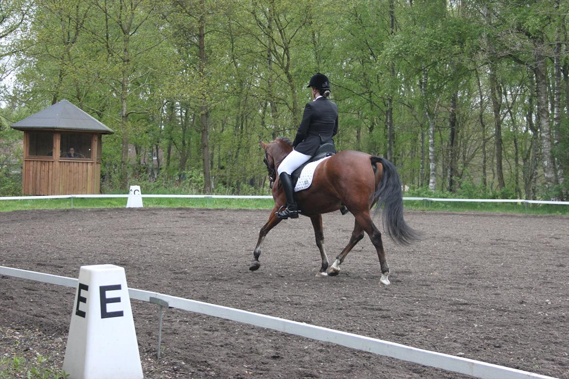 DSP Fontaine - LA3 til 63,33%;-) billede 3