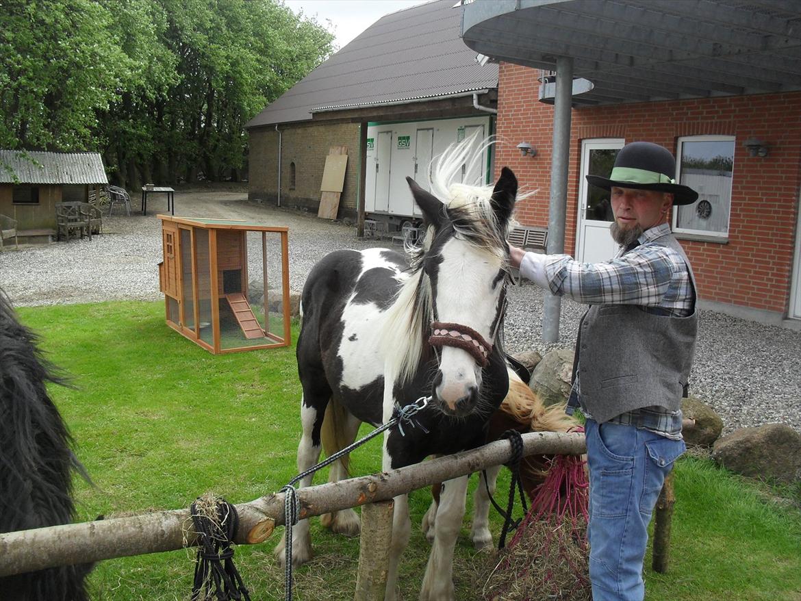 Irish Cob Zoe of Romany Vanner - 12 maj 2012 billede 16