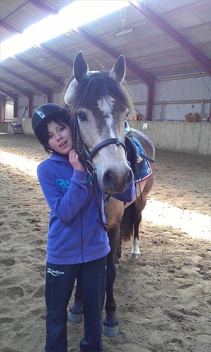 Connemara Ac-Seje Charlie af Engvang *..Bassemand..* - Hvis man virkeligt ønsker det, så kæmper man, indtil man får det! <3

- Dejlige pony :-*
Foto: Marcella A billede 15