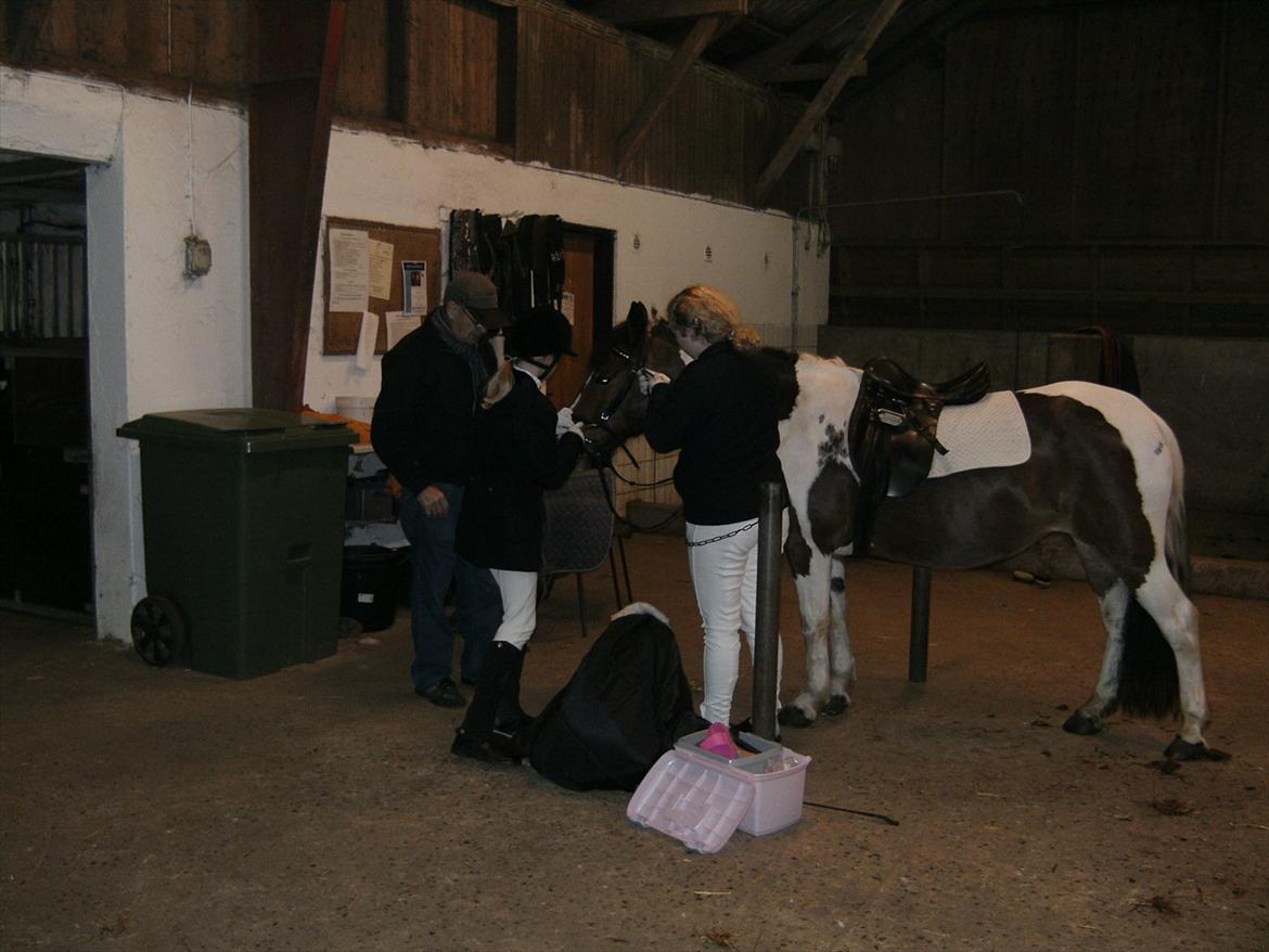 Anden særlig race Mille (Pensioneret) - Elsk mig mest når jeg fortjener det mindst, for da behøver jeg det mest billede 12