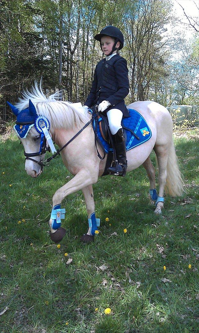 Palomino Lady { solgt:'( } - Dygtige Lady :-)
 billede 16