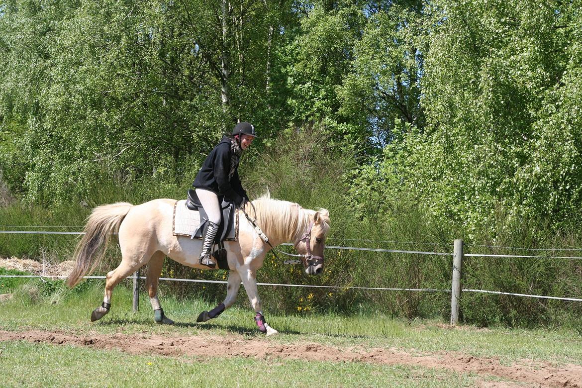 Anden særlig race Athene - Jeg har indset hvor glad du gør mig <3 billede 13