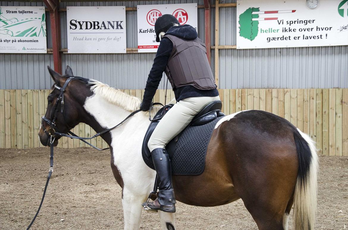 Pinto Milton billede 3