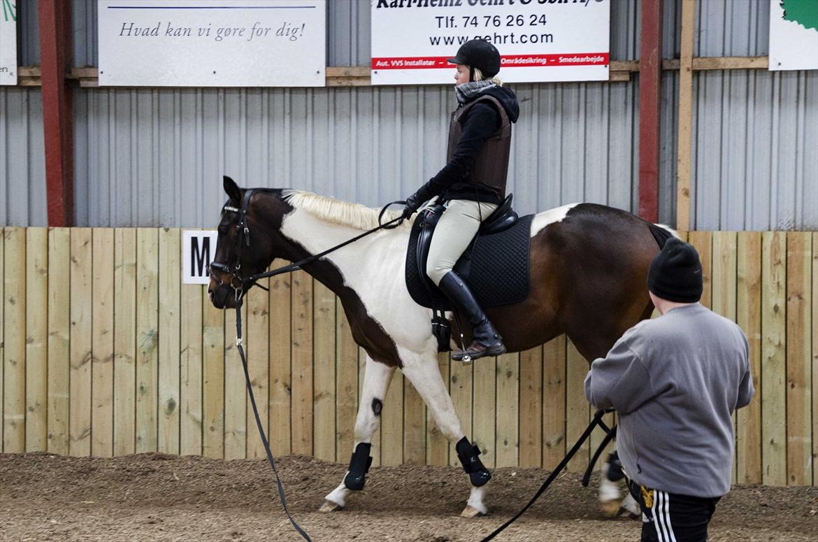 Pinto Milton billede 4