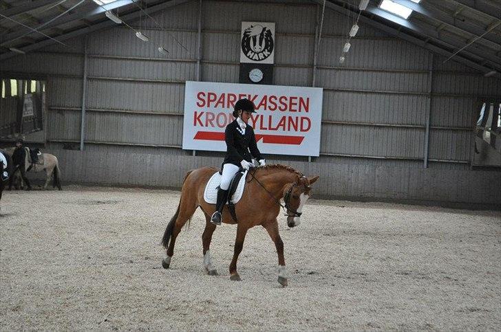 Anden særlig race Lego Star - Lego i HARK maj 2012
opvarmning til LA1
foto: josephine hinrup billede 12