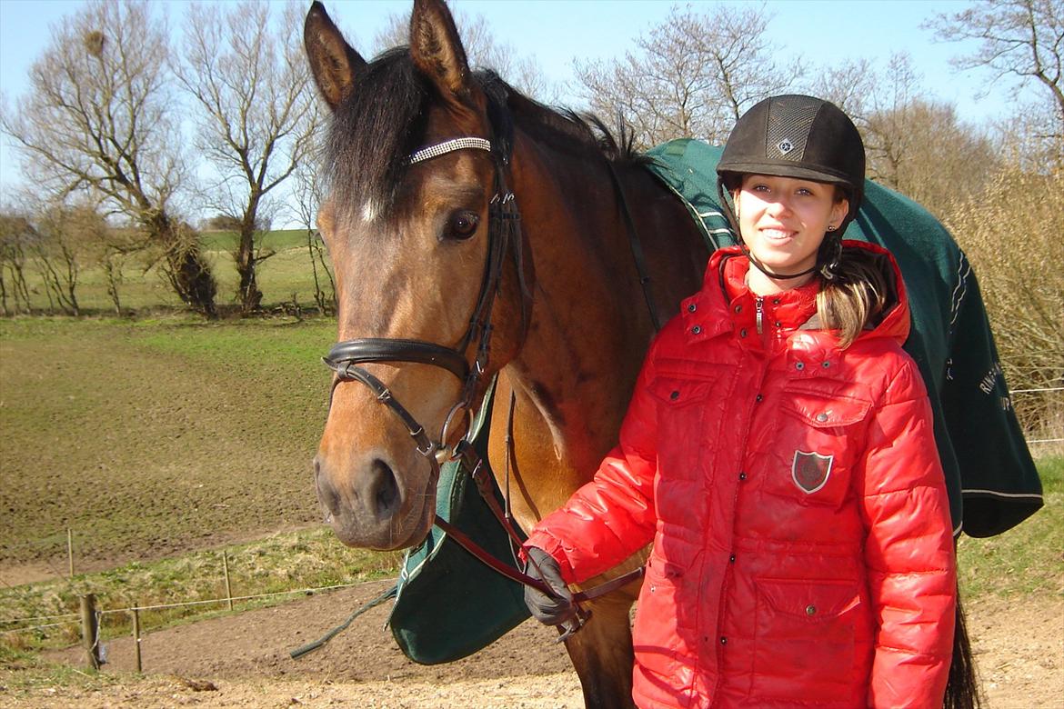 Dansk Varmblod Le Andrea billede 11