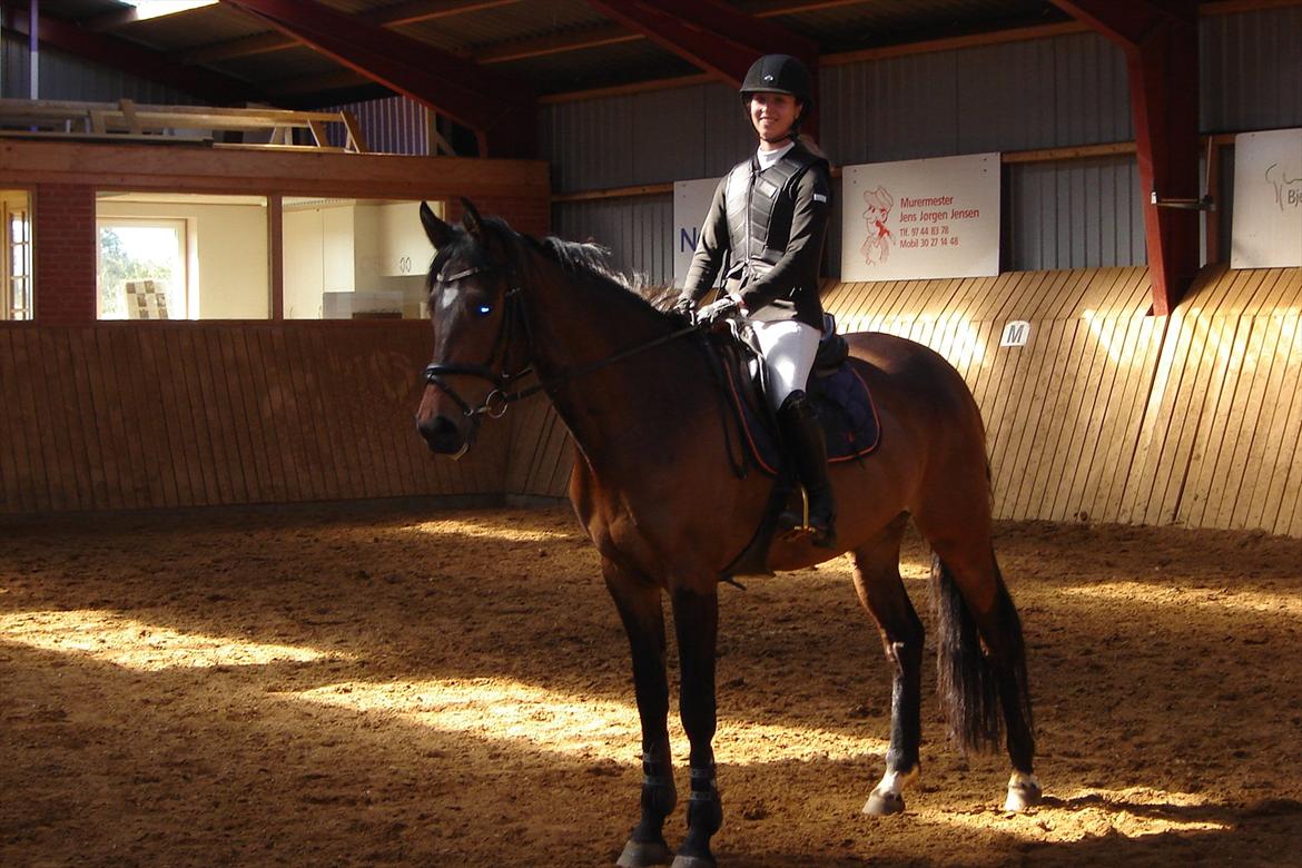 Dansk Varmblod Le Andrea - Opvarmning til spring derhjemme :-) billede 12