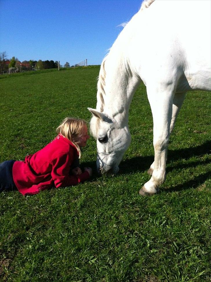 Connemara Independent Love  -  Indi - Dig og mig - igennem alt <3!! Du betyder ALT for mig <3! billede 15