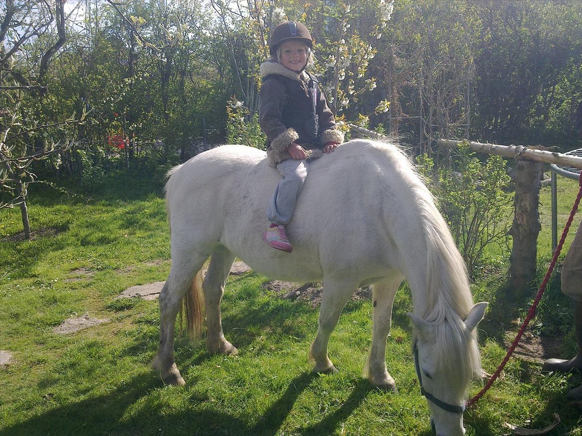 Anden særlig race Herkules - Forårshygge i haven :D 2012. Annika knap 4 år. billede 8