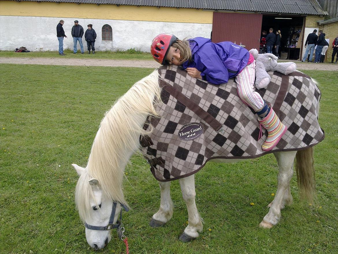 Anden særlig race Herkules - Lærke (6,5 år) hviler på varme Herkules og siger hun elsker ham :D billede 9