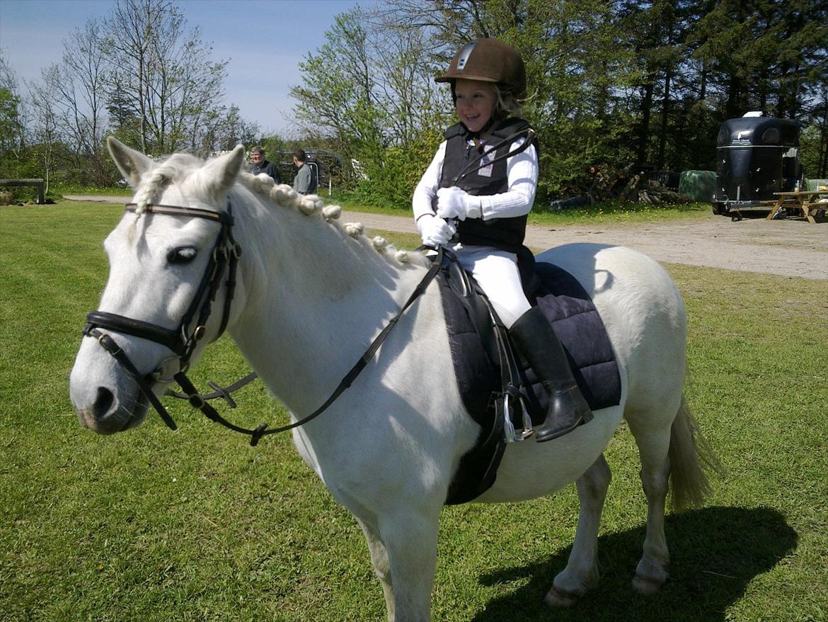 Anden særlig race Herkules - Første program sammen er vel overstået ;) billede 12