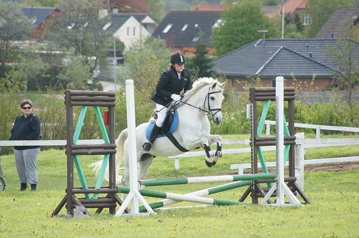 Anden særlig race Figo - Stævne d. 13/5 2012 LD. 
Billede taget af Amanda Busk :) billede 11