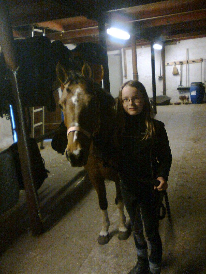 Anden særlig race Frig - Laura (Lillesøster) og Frig :D billede 3