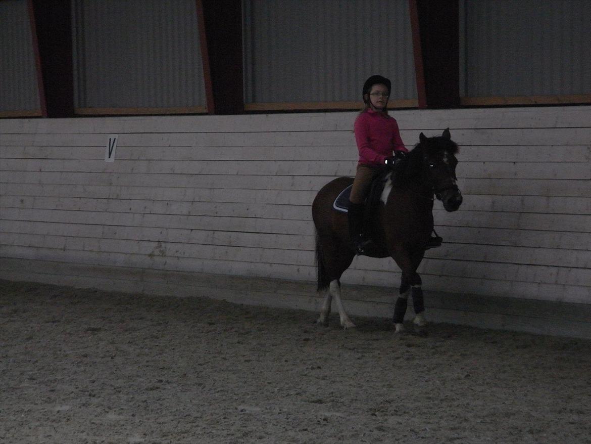 Anden særlig race Frig - Laura og Frig (for 1 år siden) billede 5