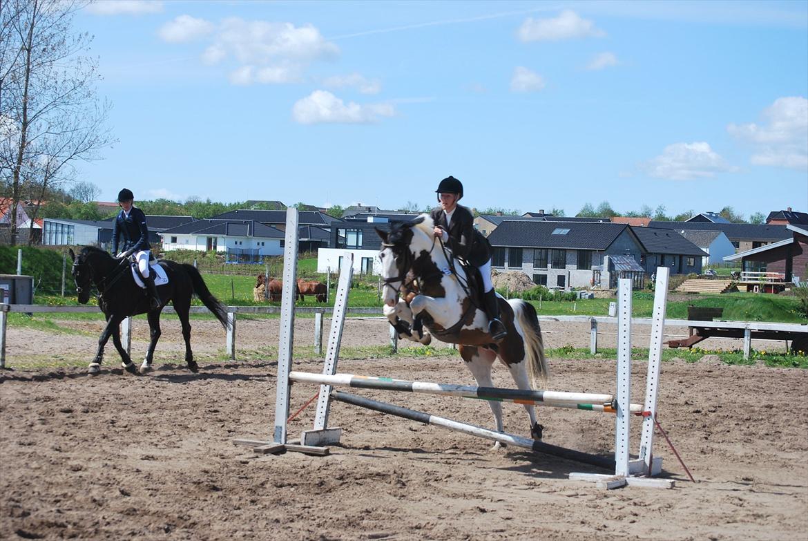 Pinto Hedens Landaz billede 12