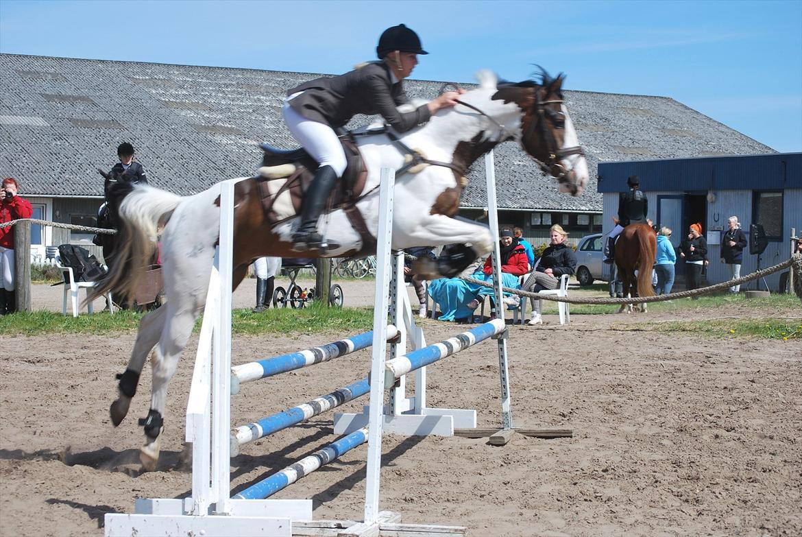 Pinto Hedens Landaz billede 13