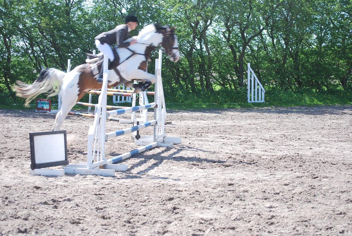 Pinto Hedens Landaz billede 14