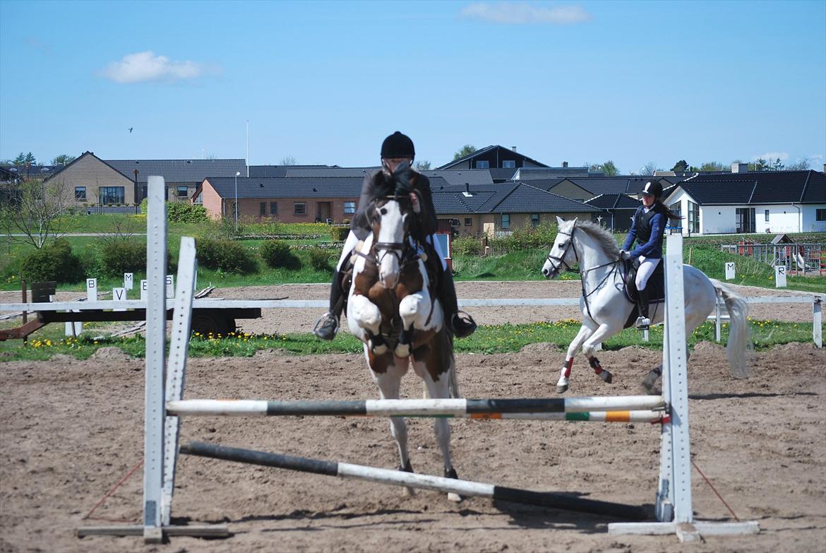 Pinto Hedens Landaz billede 15