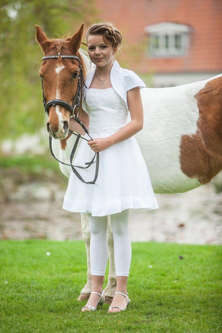 Pinto Ginger * Part * <3 - Tak fordi i så med (: billede 15