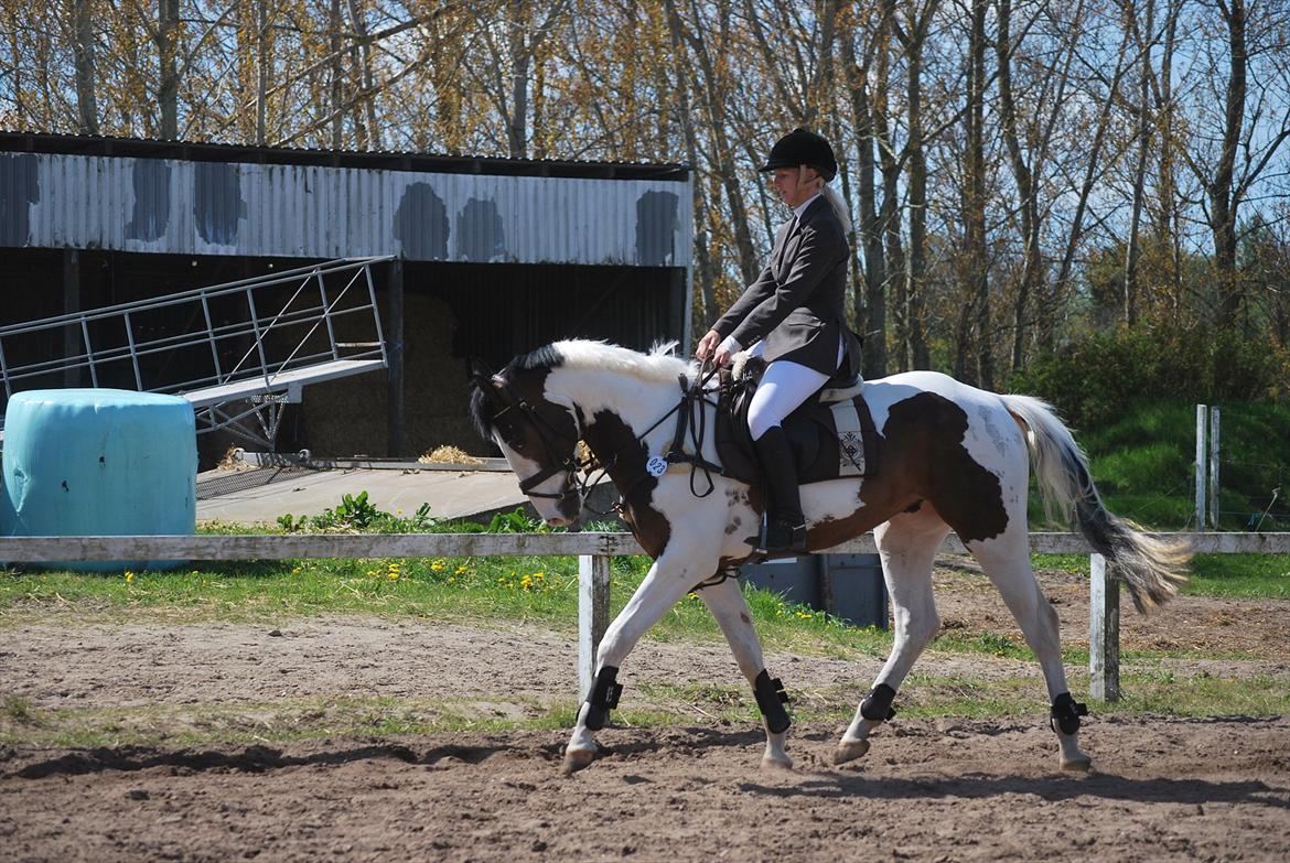 Pinto Hedens Landaz billede 17