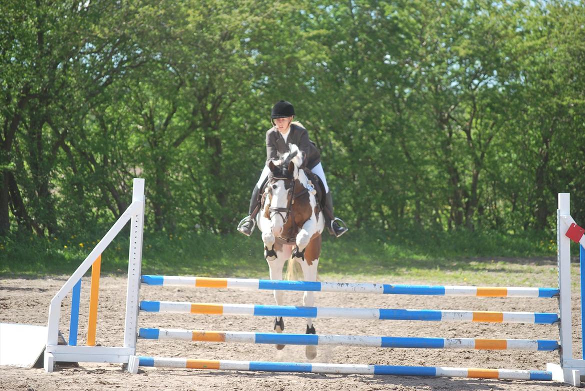 Pinto Hedens Landaz billede 19