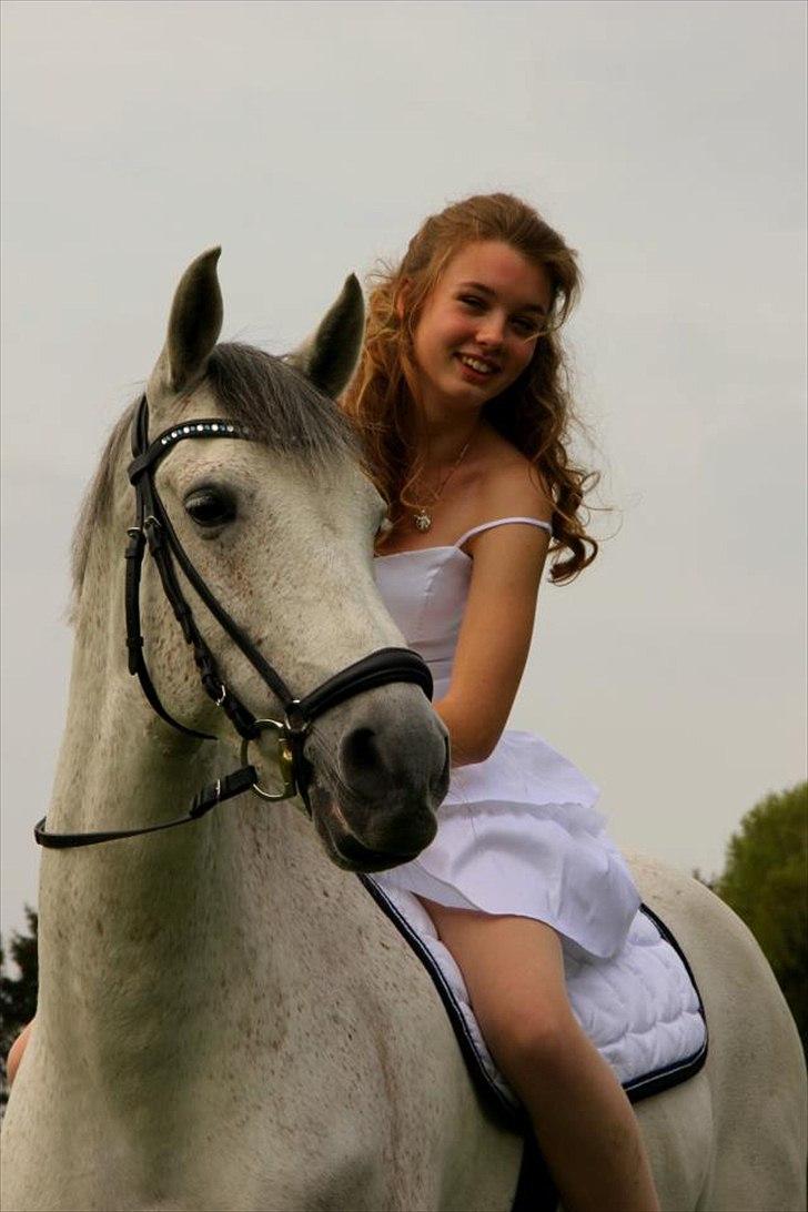 Hollandsk Sportspony LOOK AT ME - Til min konfirmation 2012 !<3 Verdens bedste pony billede 8