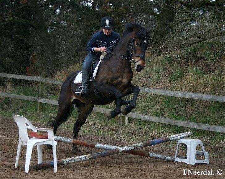 DSP Chanel - D. 14 April 2012.
- Faaarligt kryds. ;-) billede 8