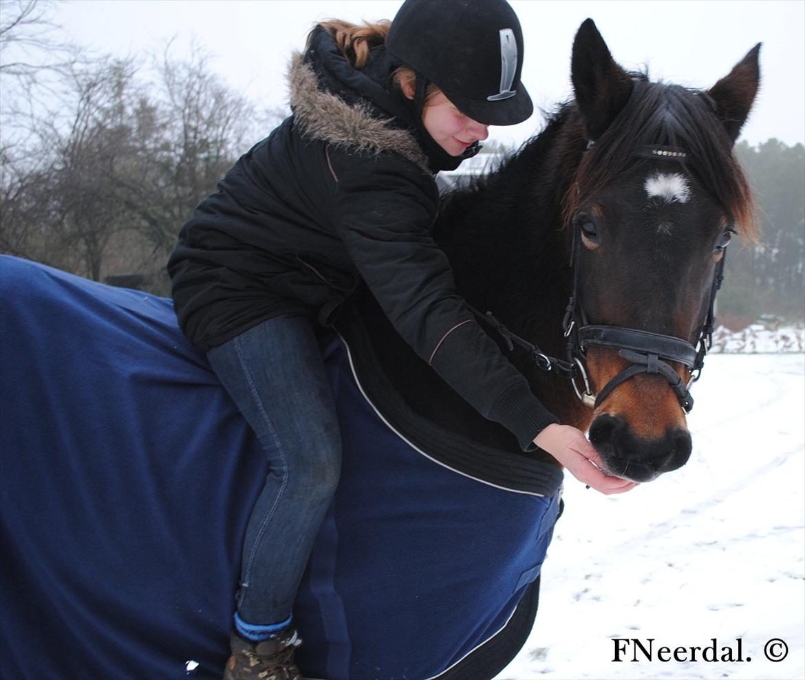 DSP Chanel - Vinteren 2011. billede 4