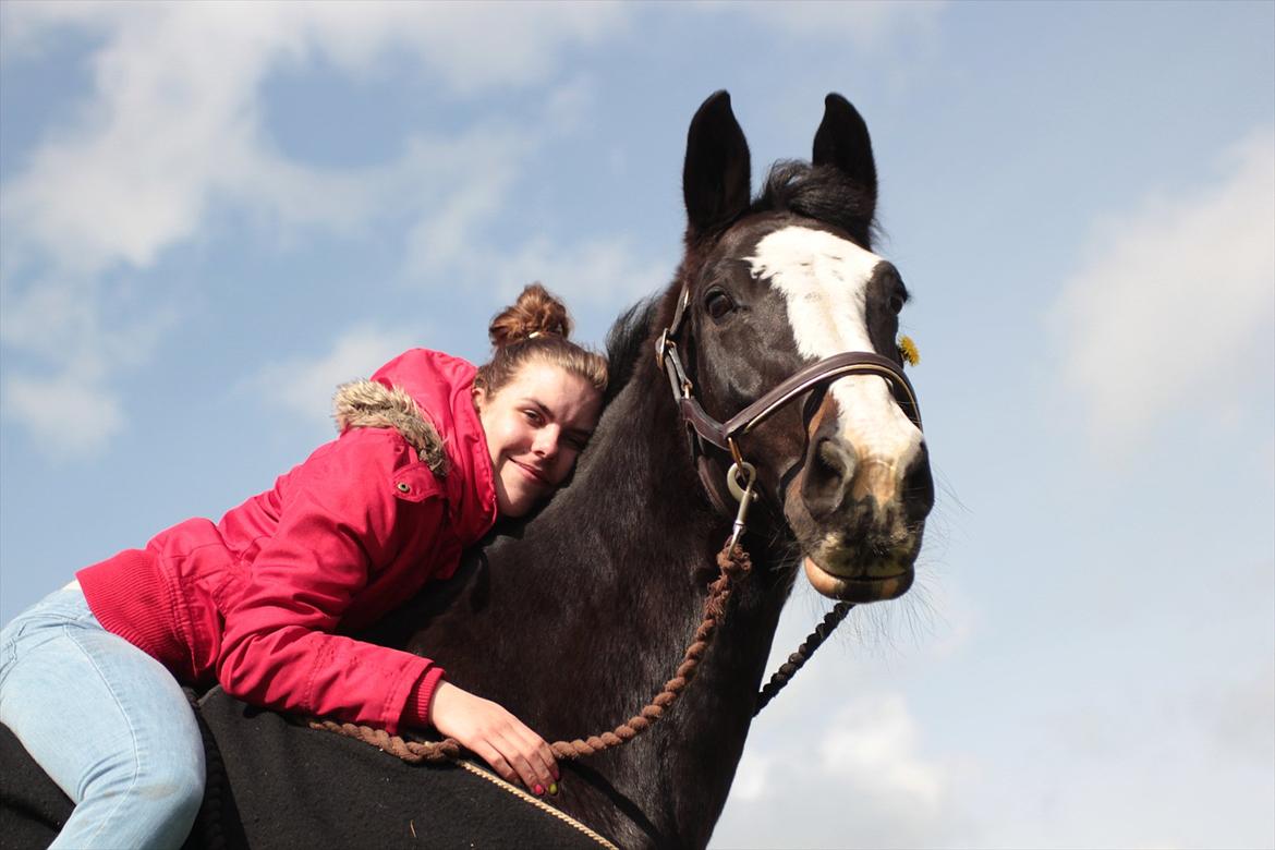 Hollandsk Varmblod Moberlina <3 Prinsessen<3 - Velkommen :D
Der er ingen som dig mobbe :*
Foto: Louise pilgaard billede 1