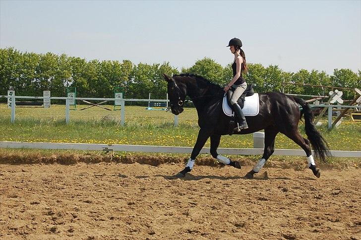 Oldenborg Catana billede 16