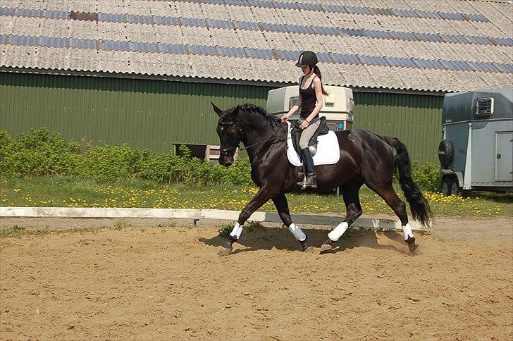 Oldenborg Catana billede 17