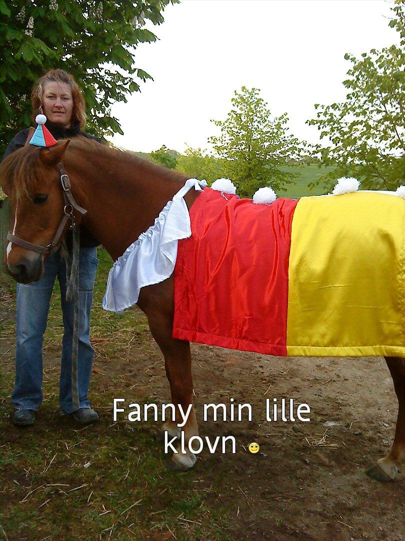 Anden særlig race Fanny - 
I LOVE YOU billede 19