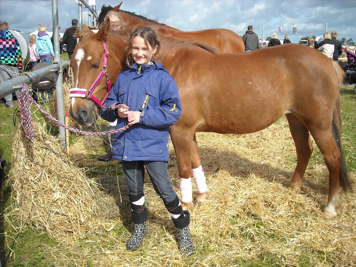Anden særlig race Fanny - dyreskue      2011 billede 20